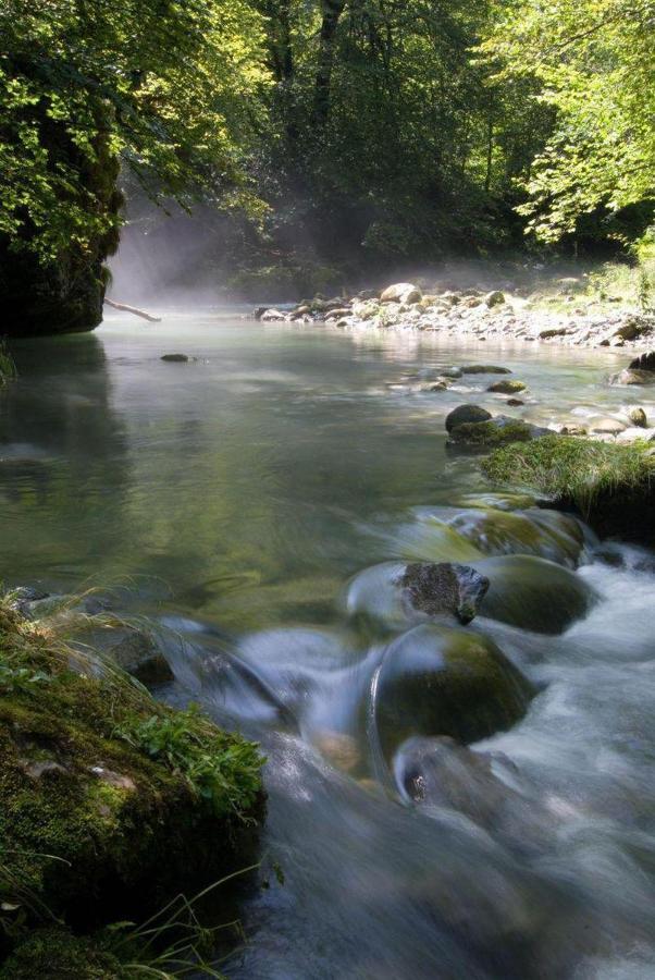 Gites Communaux A Lourdios 外观 照片